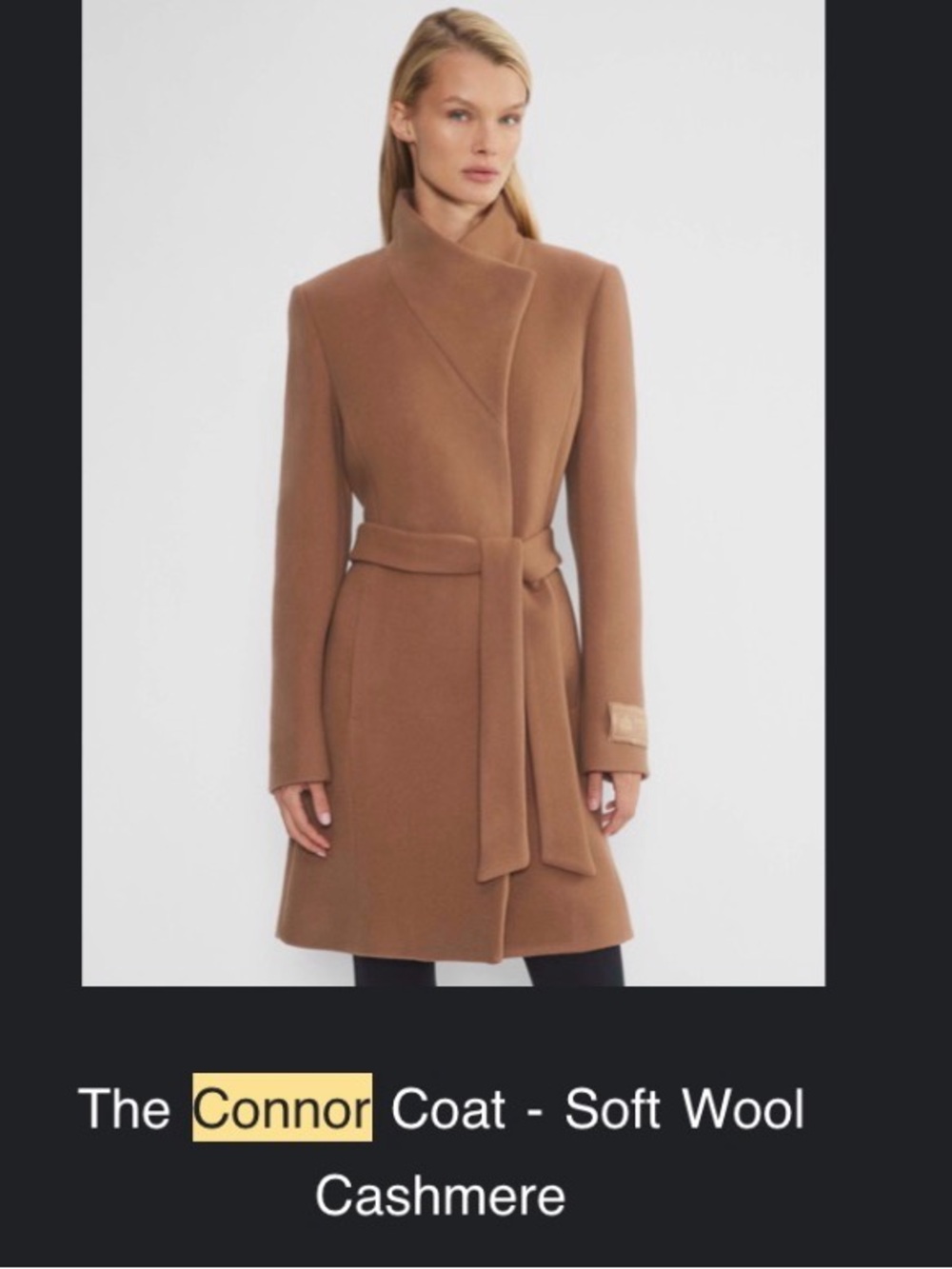 Aritizia Connor coat